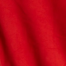 VESTE EN CUIR BLAZER 2 BOUTONS HECATE WAXY