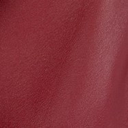 VESTE EN CUIR BLAZER 2 BOUTONS HECATE WAXY