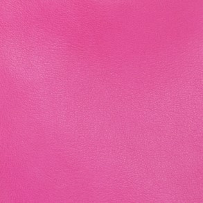 BLOUSON EN CUIR AVEC ZIPS JUNON WAXY