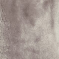 BLOUSON DOUBLE FACE AGNEAU TED DF