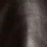 BLOUSON EN CUIR TIMOTHE WAXY